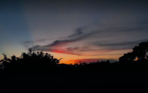 প্রকৃতির ছবি