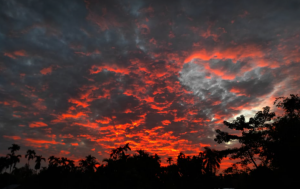 প্রকৃতির ছবি