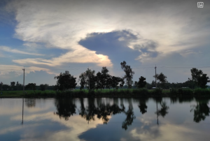 প্রকৃতির ছবি