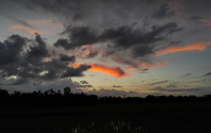 প্রকৃতির ছবি