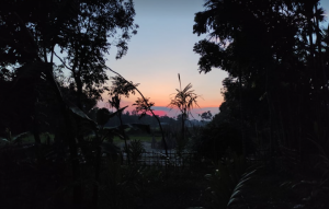 প্রকৃতির ছবি