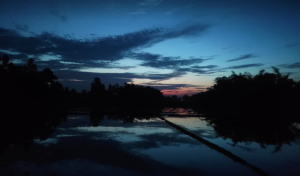 প্রকৃতির ছবি