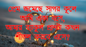 ভালোবাসার পিকচার মেসেজ 2