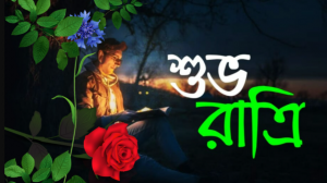 শুভ রাত্রি  পিক