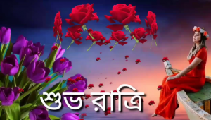 শুভ রাত্রি  পিক