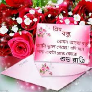 শুভ রাত্রি  পিক