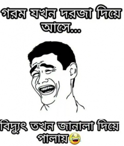 ফানি পিক