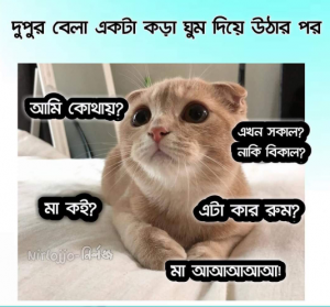 ফানি পিক
