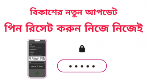 বিকাশ পিন পরিবর্তন