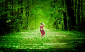 ওয়ালপেপার ডাউনলোড