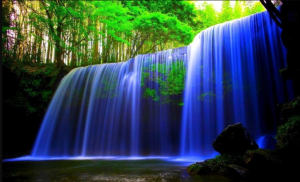 ওয়ালপেপার ডাউনলোড