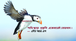 পাখি ছাড়া প্রকৃতি একেবারেই বেমানান