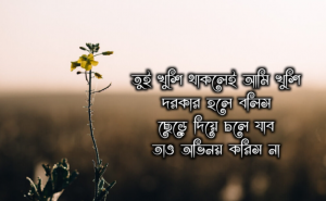 বাংলা কষ্টের ওয়ালপেপার
