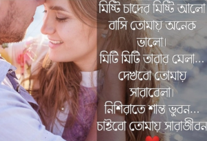 ভালোবাসার পিকচার মেসেজ