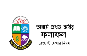 অনার্স ১ম বর্ষের রেজাল্ট