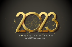হ্যাপি নিউ ইয়ার ২০২৩ পিক