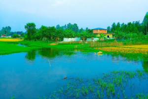 বৃষ্টিময় প্রাকৃতিক দৃশ্যের পিকচার