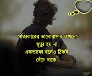 ভালোবাসার পিকচার এসএমএস