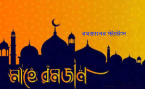 রমজানের পিক