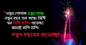 নতুন বছরের শুভেচ্ছা পিকচার 2