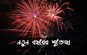 নতুন বছরের শুভেচ্ছা পিকচার 5