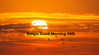 Bangla Good Morning SMS