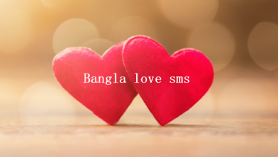 Bangla love sms
