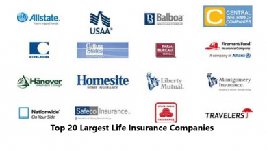 Top 20 Largest Life Insurance Companies